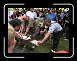 MCE beim ASV 2008 114 * 1600 x 1200 * (694KB)